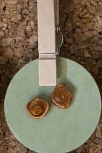 Abstract Carmel Colored Earrings