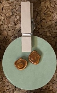 Abstract Carmel Colored Earrings