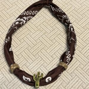Brown Bandana Tied Up with Cactus and Rope