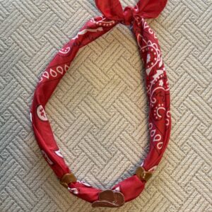 Cowboy Hat Bandana Red
