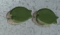 Green Fish Magnet Set