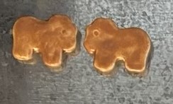 Lion Animal Cracker Magnet Set