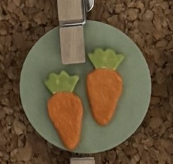 Orange Carrot Earrings2