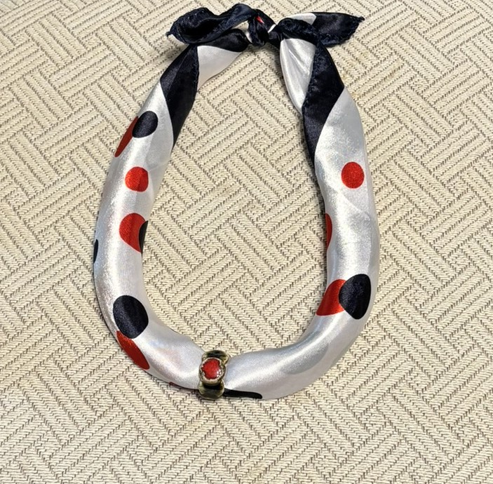 Red Dot NeckWear