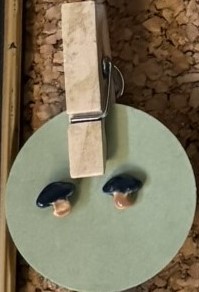 Tiny Blue and Tan Mushroom Earrings